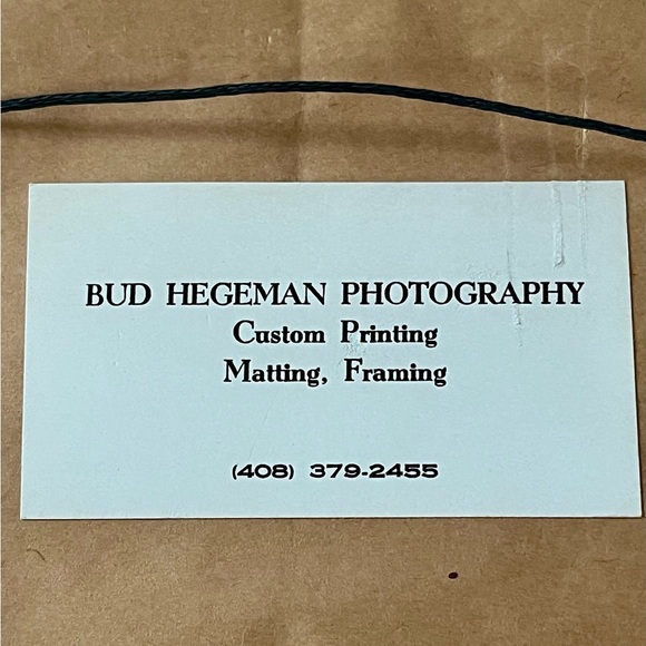 Framed Peach Rose Photograph By Bud Hereman Wall Art Decor 12/13 Inch - Picture 11 of 14